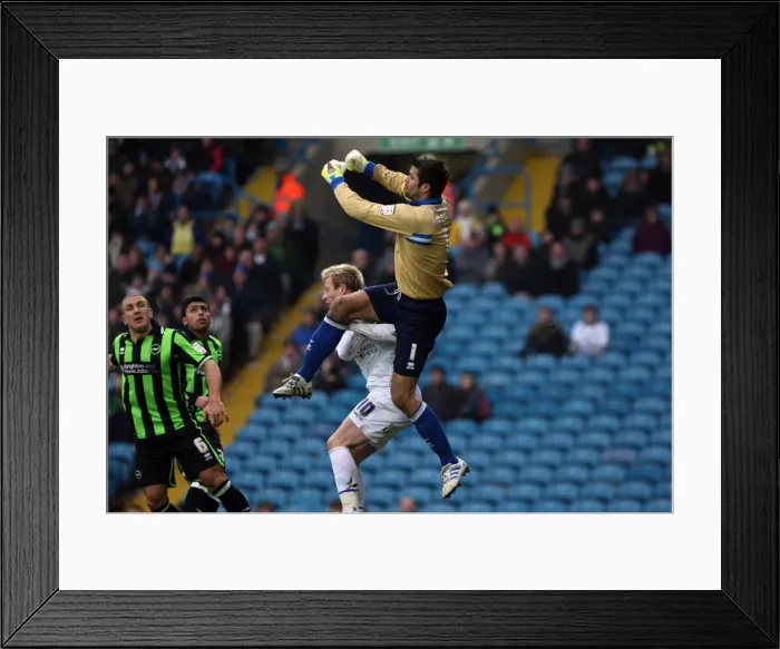 Framed Print : Brighton & Hove Albion vs. Leeds United: 2011-12 Away Game Highlights