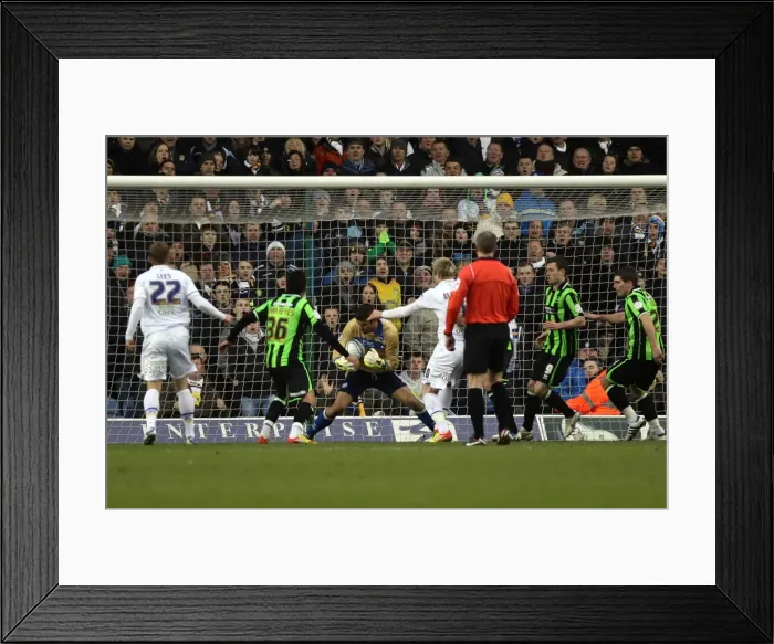 Framed Print : Brighton & Hove Albion vs. Leeds United: 2011-12 Away Game Highlights