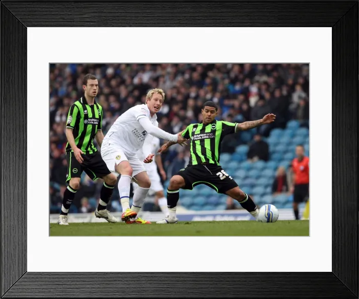 Framed Print : Brighton & Hove Albion vs. Leeds United: 2011-12 Away Game Highlights
