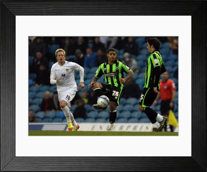 Framed Print : Brighton & Hove Albion vs Leeds United: 2011-12 Away Game Highlights