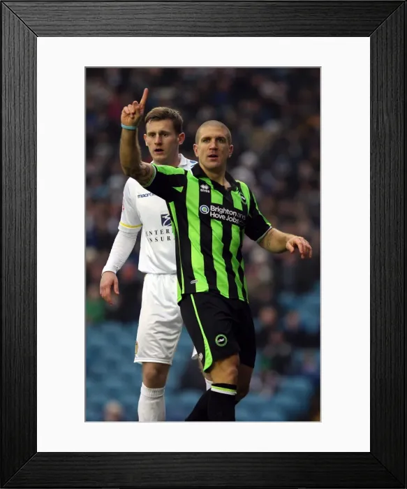 Framed Print : Brighton & Hove Albion vs. Leeds United (Away) - 11-02-12: 2011-12 Season Highlights Framed Print : Brighton & Hove Albion vs. Leeds United (Away) - 11-02-12: 2011-12 Season Highlights