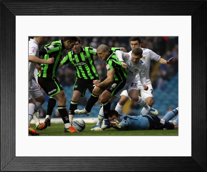 Framed Print : Brighton & Hove Albion vs. Leeds United (Away): 11-02-12 - 2011-12 Season Highlights Framed Print : Brighton & Hove Albion vs. Leeds United (Away): 11-02-12 - 2011-12 Season Highlights
