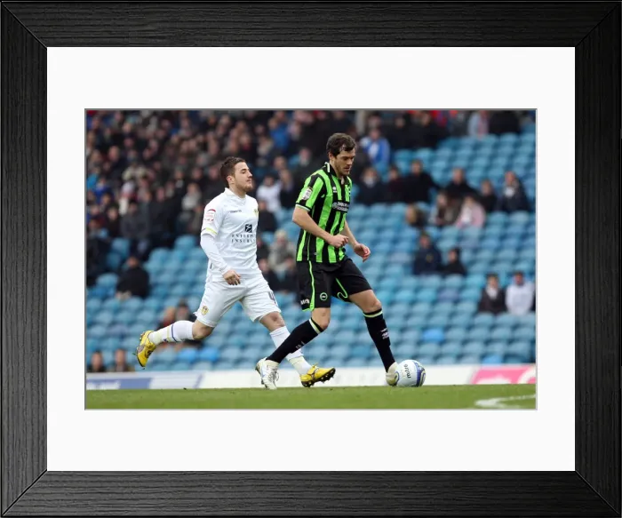 Framed Print : Fighting February: Brighton & Hove Albion vs. Leeds United (Away) - 2011-12 Season Highlights Framed Print : Fighting February: Brighton & Hove Albion vs. Leeds United (Away) - 2011-12 Season Highlights