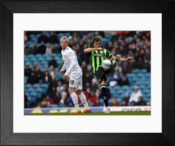 Framed Print : Brighton & Hove Albion vs. Leeds United (Away): 2011-12 Season Highlights - 11-02-12 Framed Print : Brighton & Hove Albion vs. Leeds United (Away): 2011-12 Season Highlights - 11-02-12