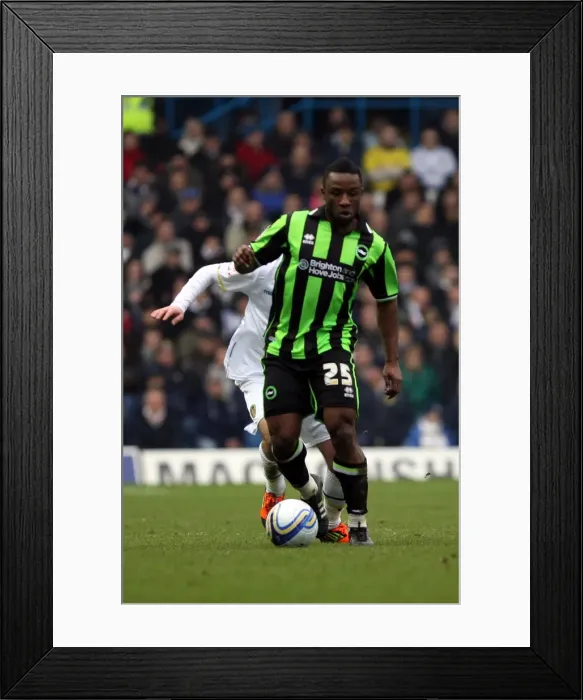 Framed Print : Brighton & Hove Albion vs. Leeds United: 2011-12 Season - Away Game Highlights (February 11, 2012) Framed Print : Brighton & Hove Albion vs. Leeds United: 2011-12 Season - Away Game Highlights (February 11, 2012)