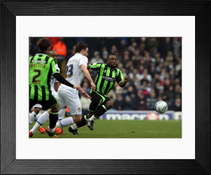 Framed Print : Brighton & Hove Albion vs Leeds United: 2011-12 Season Away Game Highlights Framed Print : Brighton & Hove Albion vs Leeds United: 2011-12 Season Away Game Highlights
