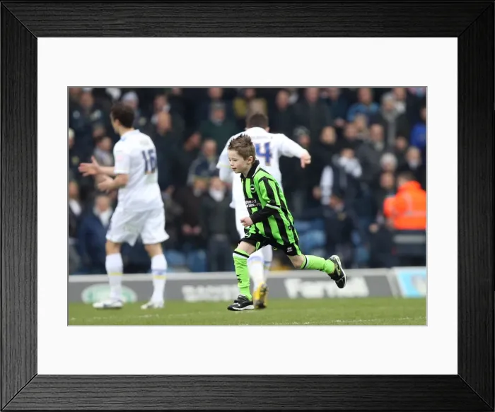 Framed Print : Fighting Albion: Brighton & Hove vs Leeds United (Away) - 2011-12 Season Highlights Framed Print : Fighting Albion: Brighton & Hove vs Leeds United (Away) - 2011-12 Season Highlights