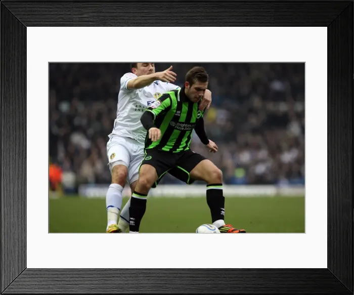 Framed Print : Brighton & Hove Albion vs. Leeds United: 2011-12 Away Game Highlights
