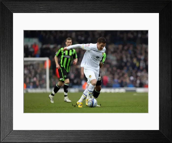 Framed Print : Fighting February: Brighton & Hove Albion vs. Leeds United (Away) - 2011-12 Season Highlights Framed Print : Fighting February: Brighton & Hove Albion vs. Leeds United (Away) - 2011-12 Season Highlights
