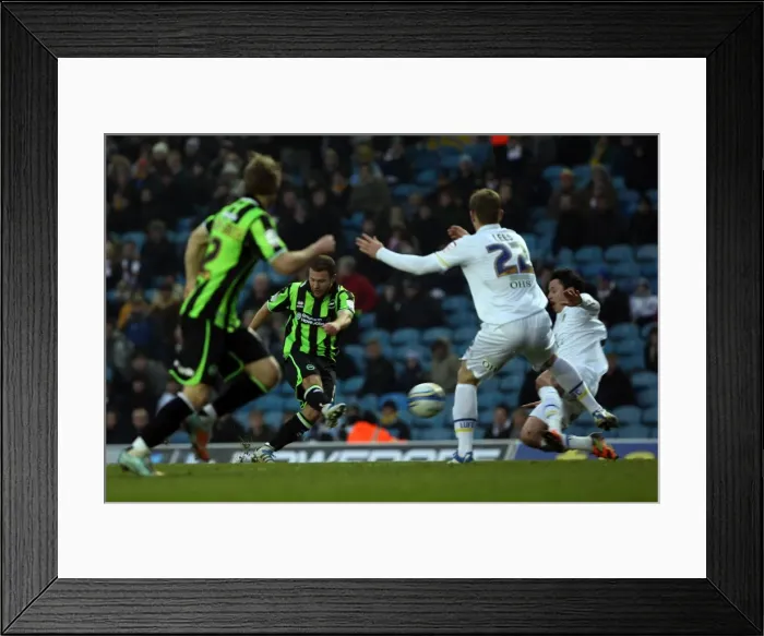 Framed Print : A Glance Back: Thrilling 2011-12 Encounter - Brighton & Hove Albion vs. Leeds United Framed Print : A Glance Back: Thrilling 2011-12 Encounter - Brighton & Hove Albion vs. Leeds United
