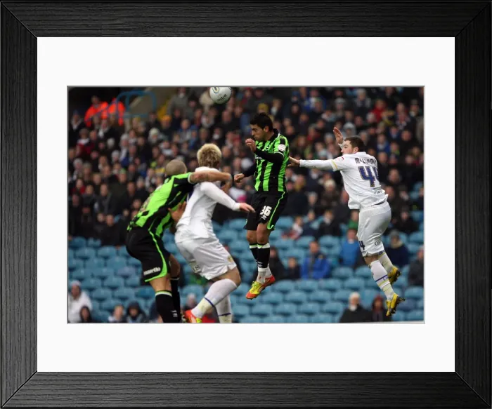 Framed Print : Leeds United's Triumph over Brighton & Hove Albion (Away): 2011-12 Season - Highlights Framed Print : Leeds United's Triumph over Brighton & Hove Albion (Away): 2011-12 Season - Highlights