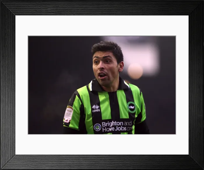 Framed Print : Brighton & Hove Albion vs Leeds United: 2011-12 Away Game Highlights Framed Print : Brighton & Hove Albion vs Leeds United: 2011-12 Away Game Highlights