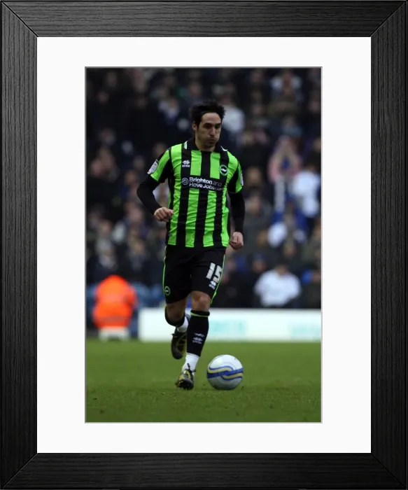 Framed Print : Brighton & Hove Albion vs. Leeds United (Away): A 2011-12 Season Highlight - 11-02-12 Framed Print : Brighton & Hove Albion vs. Leeds United (Away): A 2011-12 Season Highlight - 11-02-12