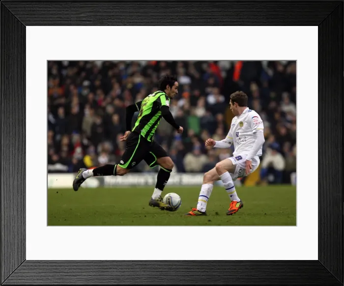 Framed Print : Brighton & Hove Albion vs. Leeds United: 2011-12 Season - Away Game Highlights (February 11) Framed Print : Brighton & Hove Albion vs. Leeds United: 2011-12 Season - Away Game Highlights (February 11)