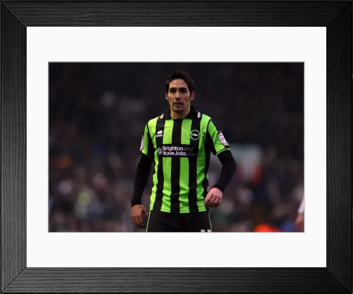 Framed Print : Fighting February: Brighton & Hove Albion vs. Leeds United (Away) - 2011-12 Season Highlights Framed Print : Fighting February: Brighton & Hove Albion vs. Leeds United (Away) - 2011-12 Season Highlights