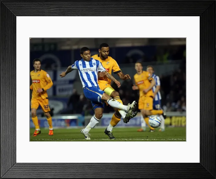 Framed Print : A Historic 2011-12 Home Game: Brighton & Hove Albion vs. Millwall Framed Print : A Historic 2011-12 Home Game: Brighton & Hove Albion vs. Millwall