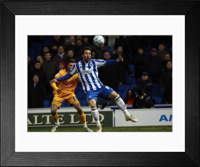 Framed Print : A Memorable Home Game: Brighton & Hove Albion vs. Millwall (February 14, 2012) Framed Print : A Memorable Home Game: Brighton & Hove Albion vs. Millwall (February 14, 2012)