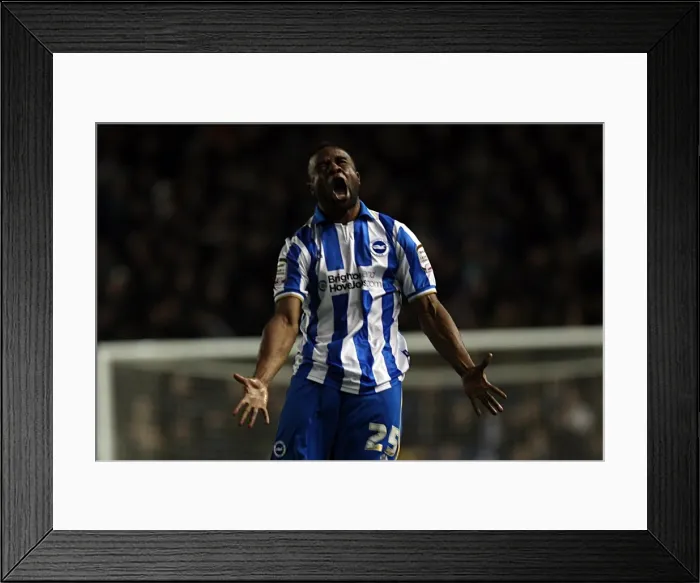Framed Print : Brighton & Hove Albion vs. Millwall: A Historic 2011-12 Home Game Framed Print : Brighton & Hove Albion vs. Millwall: A Historic 2011-12 Home Game