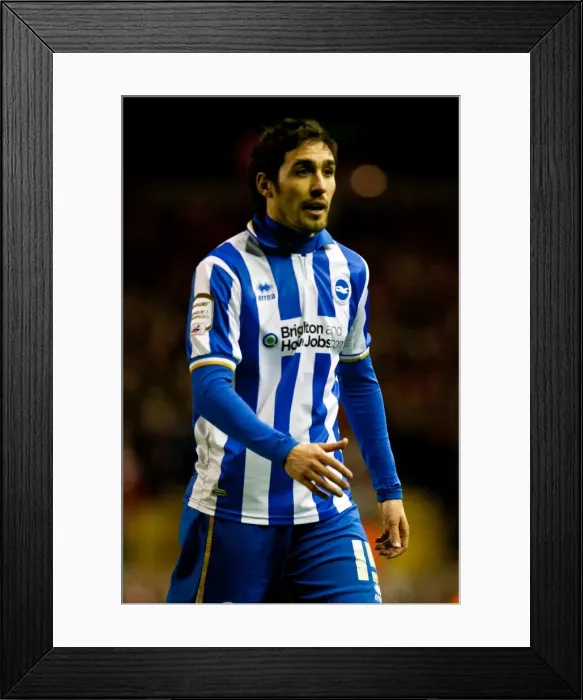Framed Print : Brighton & Hove Albion vs. Liverpool (FA Cup, 2011-12): An Away Game Framed Print : Brighton & Hove Albion vs. Liverpool (FA Cup, 2011-12): An Away Game