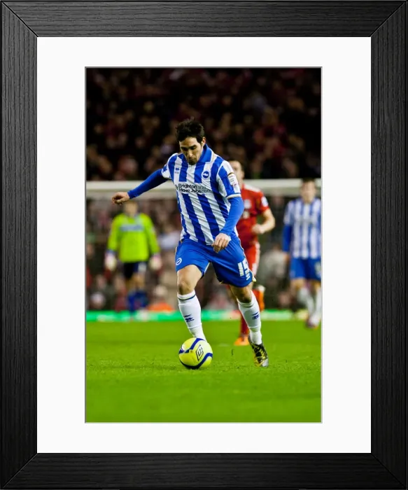 Framed Print : Brighton & Hove Albion vs. Liverpool - 2011-12 FA Cup: Away Game Framed Print : Brighton & Hove Albion vs. Liverpool - 2011-12 FA Cup: Away Game