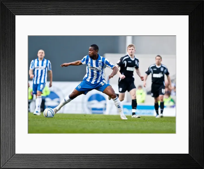 Framed Print : Brighton & Hove Albion vs Ipswich Town: December 25, 2012
