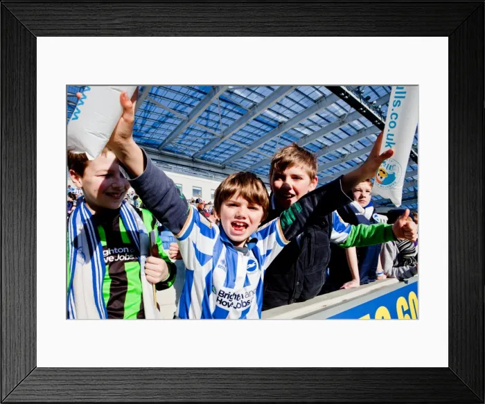 Framed Print : Brighton & Hove Albion vs. Ipswich Town (25-12-2012): A Glance Back at the 2011-12 Home Season Framed Print : Brighton & Hove Albion vs. Ipswich Town (25-12-2012): A Glance Back at the 2011-12 Home Season