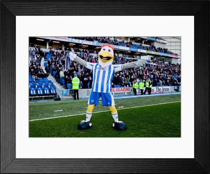 Framed Print : Brighton & Hove Albion vs Ipswich Town: Home Game - December 2011 Framed Print : Brighton & Hove Albion vs Ipswich Town: Home Game - December 2011