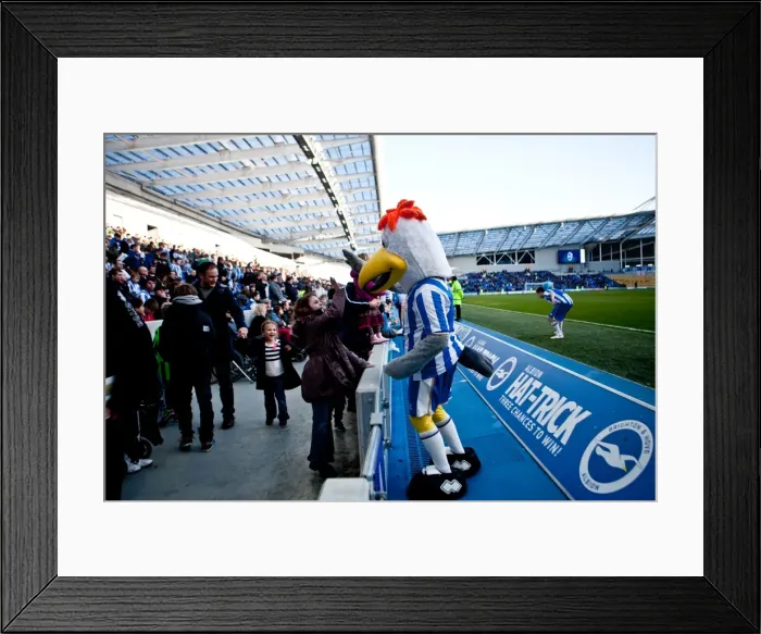 Framed Print : A Nostalgic Look Back: Brighton & Hove Albion vs Ipswich Town (December 25, 2012) - 2011-12 Home Season Framed Print : A Nostalgic Look Back: Brighton & Hove Albion vs Ipswich Town (December 25, 2012) - 2011-12 Home Season
