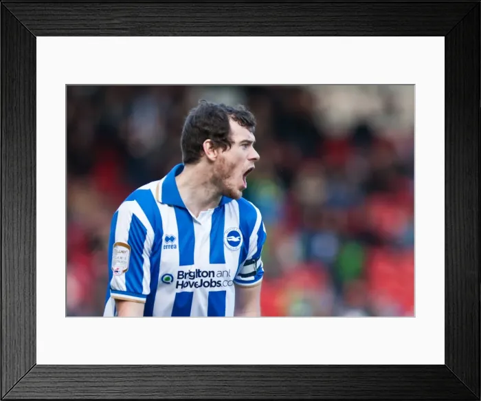 Framed Print : Brighton & Hove Albion Away Game: Doncaster Rovers (03-03-12) - 2011-12 Season Framed Print : Brighton & Hove Albion Away Game: Doncaster Rovers (03-03-12) - 2011-12 Season
