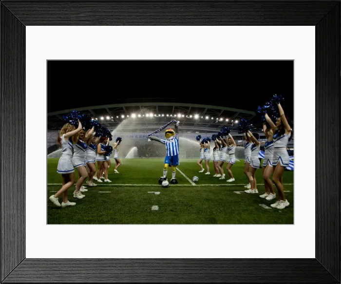 Framed Print : Gully and Gullys Girls Cardiff 07MAR12 PH 1536 Framed Print : Gully and Gullys Girls Cardiff 07MAR12 PH 1536