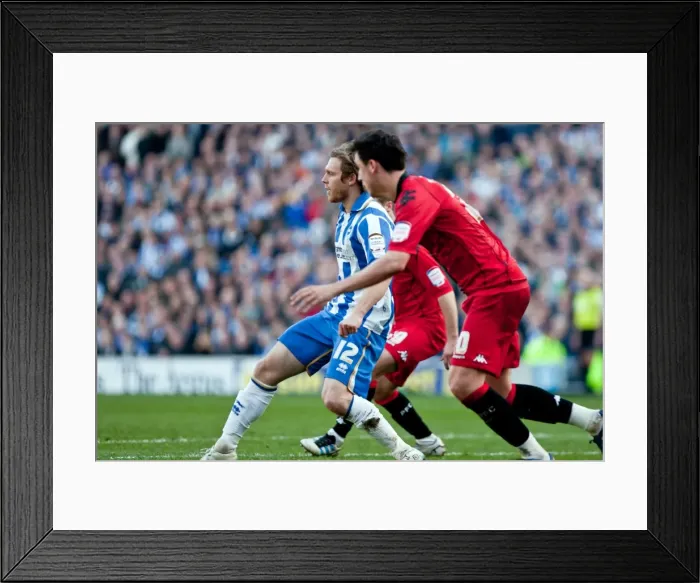 Framed Print : Brighton & Hove Albion: Historic 10-3-12 Victory Against Portsmouth - Season 2011-12 Home Games Framed Print : Brighton & Hove Albion: Historic 10-3-12 Victory Against Portsmouth - Season 2011-12 Home Games