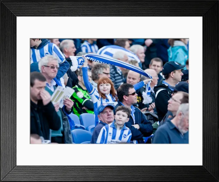 Framed Print : Brighton & Hove Albion's Historic 10-3-12 Victory Over Portsmouth: A Memorable Moment from the 2011-12 Season Framed Print : Brighton & Hove Albion's Historic 10-3-12 Victory Over Portsmouth: A Memorable Moment from the 2011-12 Season