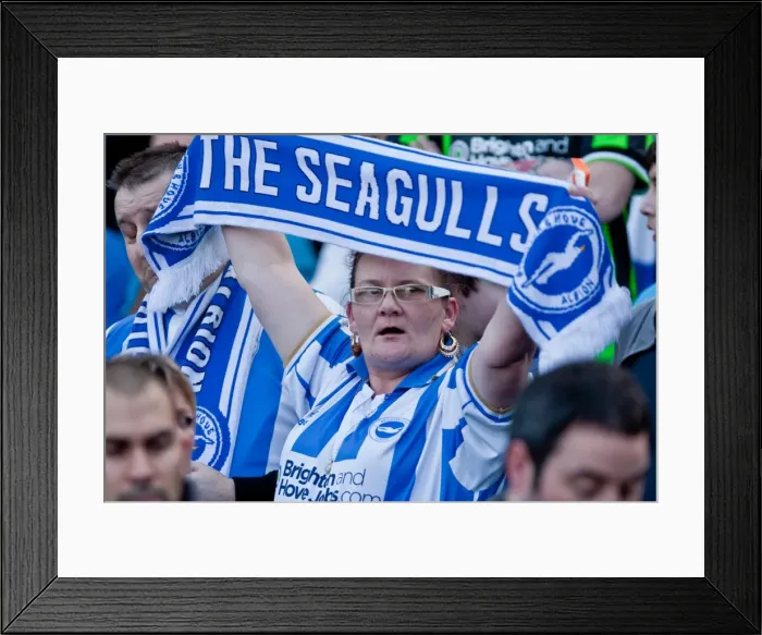 Framed Print : Brighton & Hove Albion's Epic 10-3-12 Victory Over Portsmouth: A Memorable Moment from the 2011-12 Season Framed Print : Brighton & Hove Albion's Epic 10-3-12 Victory Over Portsmouth: A Memorable Moment from the 2011-12 Season