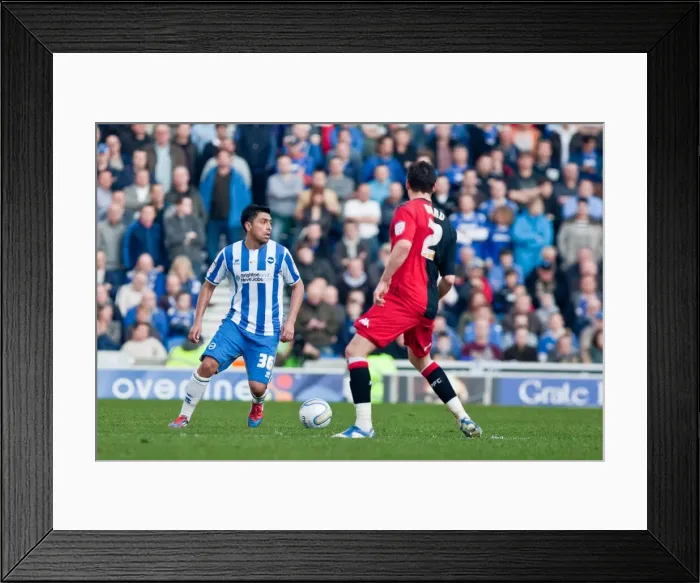 Framed Print : Brighton & Hove Albion's Historic 10-3-12 Victory Over Portsmouth: A Memorable Moment from the 2011-12 Season Framed Print : Brighton & Hove Albion's Historic 10-3-12 Victory Over Portsmouth: A Memorable Moment from the 2011-12 Season