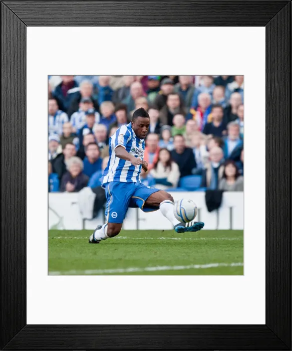 Framed Print : Brighton & Hove Albion's Historic 10-3 Victory over Portsmouth: A Memorable Moment from the 2011-12 Season