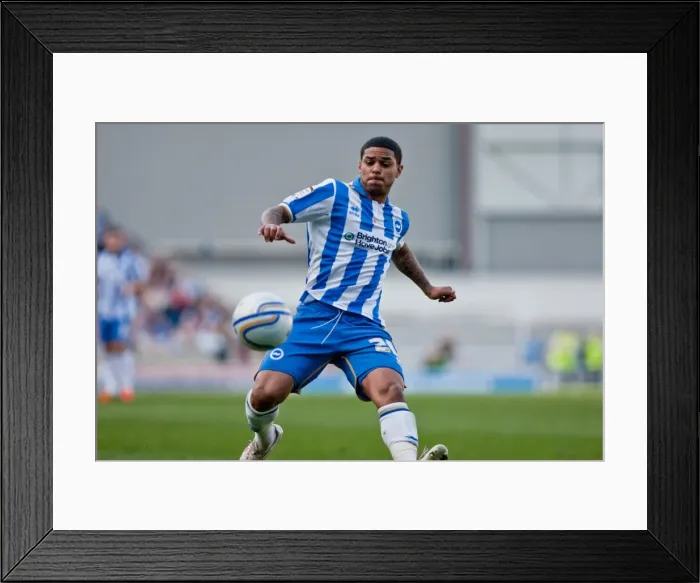 Framed Print : Brighton & Hove Albion's Historic 10-3-12 Victory Over Portsmouth: A Memorable Moment from the 2011-12 Season Framed Print : Brighton & Hove Albion's Historic 10-3-12 Victory Over Portsmouth: A Memorable Moment from the 2011-12 Season
