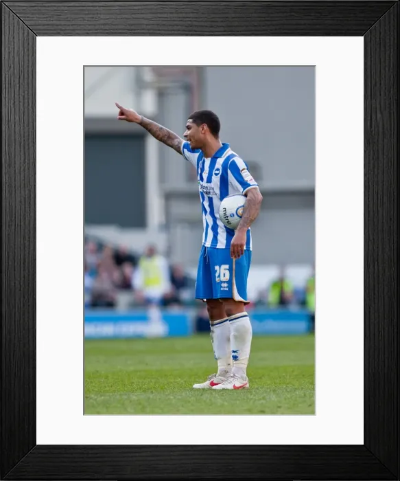 Framed Print : A Historic 10-3-12: Brighton & Hove Albion vs. Portsmouth - 2011-12 Season Home Game Framed Print : A Historic 10-3-12: Brighton & Hove Albion vs. Portsmouth - 2011-12 Season Home Game