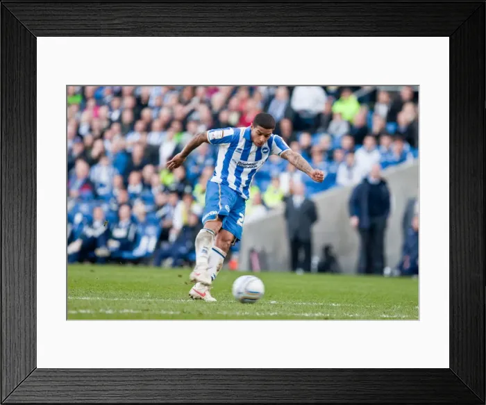 Framed Print : Thrilling Goal: Liam Bridcutt Scores for Brighton & Hove Albion vs Portsmouth, March 10, 2012 (Amex Stadium) Framed Print : Thrilling Goal: Liam Bridcutt Scores for Brighton & Hove Albion vs Portsmouth, March 10, 2012 (Amex Stadium)
