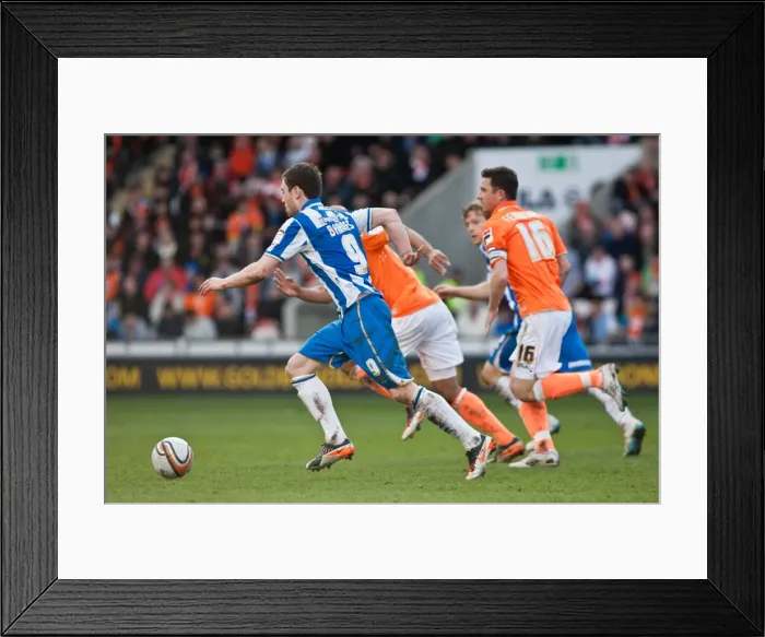 Framed Print : Brighton & Hove Albion at Blackpool - March 19, 2012 (Season 2011-12 Away Game) Framed Print : Brighton & Hove Albion at Blackpool - March 19, 2012 (Season 2011-12 Away Game)