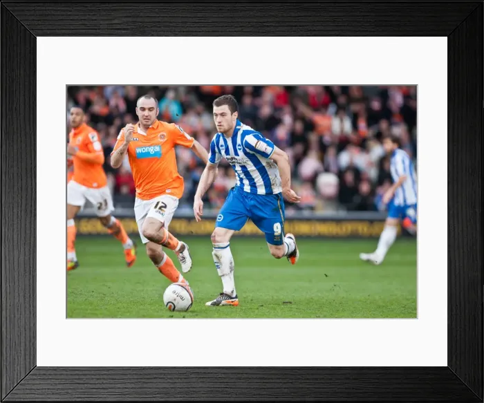 Framed Print : Brighton & Hove Albion vs. Blackpool: Away Game, March 19, 2012 (Season 2011-12) Framed Print : Brighton & Hove Albion vs. Blackpool: Away Game, March 19, 2012 (Season 2011-12)