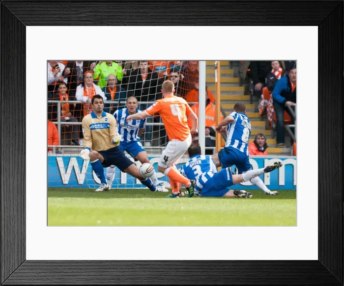 Framed Print : Brighton & Hove Albion Away at Blackpool (19-03-12) Framed Print : Brighton & Hove Albion Away at Blackpool (19-03-12)