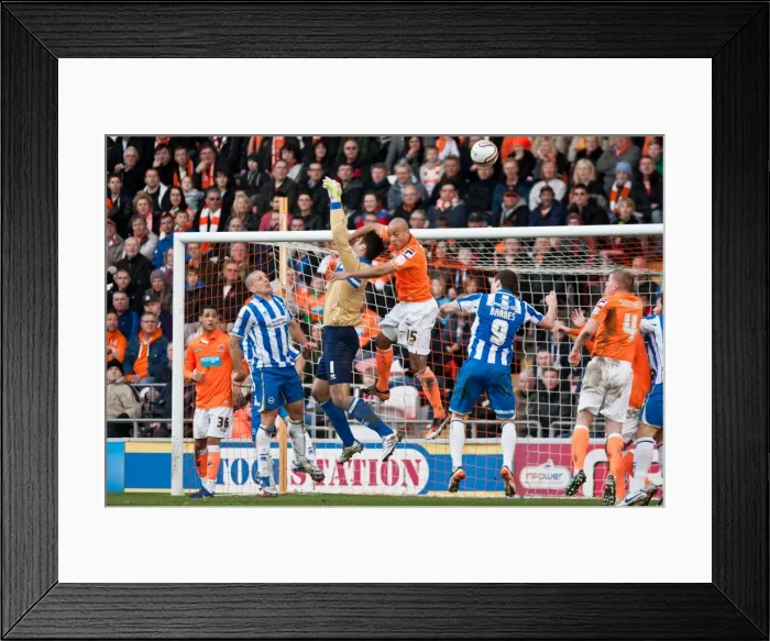 Framed Print : Brighton & Hove Albion Away at Blackpool (2011-12 Season): Game Highlights - 19-03-12