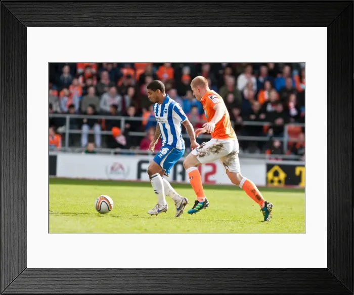 Framed Print : Brighton & Hove Albion vs. Blackpool: Away Game - March 19, 2012 (Season 2011-12) Framed Print : Brighton & Hove Albion vs. Blackpool: Away Game - March 19, 2012 (Season 2011-12)
