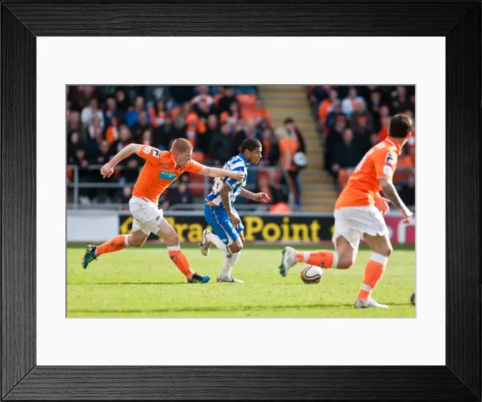 Framed Print : Brighton & Hove Albion Away Game: Blackpool (19-03-12) - 2011-12 Season Framed Print : Brighton & Hove Albion Away Game: Blackpool (19-03-12) - 2011-12 Season