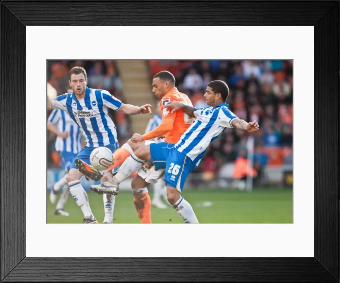 Framed Print : Brighton & Hove Albion vs. Blackpool: Away Game – March 19, 2012 (Season 2011-12) Framed Print : Brighton & Hove Albion vs. Blackpool: Away Game – March 19, 2012 (Season 2011-12)