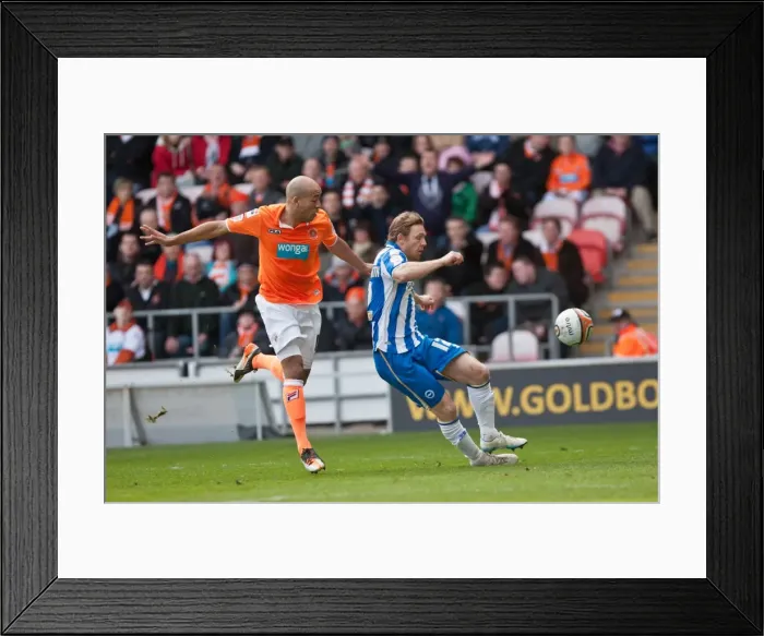 Framed Print : Brighton & Hove Albion vs. Blackpool: 19-03-12 - Away Game (2011-12 Season) Framed Print : Brighton & Hove Albion vs. Blackpool: 19-03-12 - Away Game (2011-12 Season)