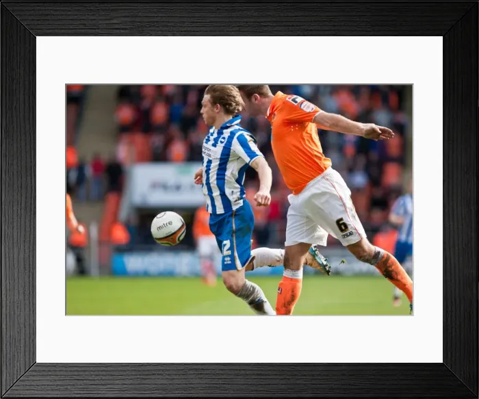 Framed Print : Brighton & Hove Albion vs. Blackpool: Away Game – March 19, 2012 (Season 2011-12) Framed Print : Brighton & Hove Albion vs. Blackpool: Away Game – March 19, 2012 (Season 2011-12)