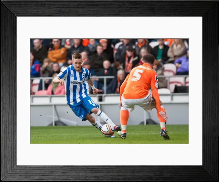 Framed Print : Brighton & Hove Albion Away at Blackpool (2011-12 Season): March 19, 2012 Framed Print : Brighton & Hove Albion Away at Blackpool (2011-12 Season): March 19, 2012