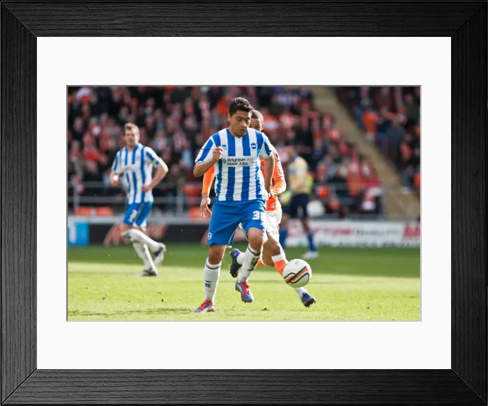 Framed Print : Brighton & Hove Albion vs. Blackpool: Away Game – March 19, 2012 (Season 2011-12) Framed Print : Brighton & Hove Albion vs. Blackpool: Away Game – March 19, 2012 (Season 2011-12)