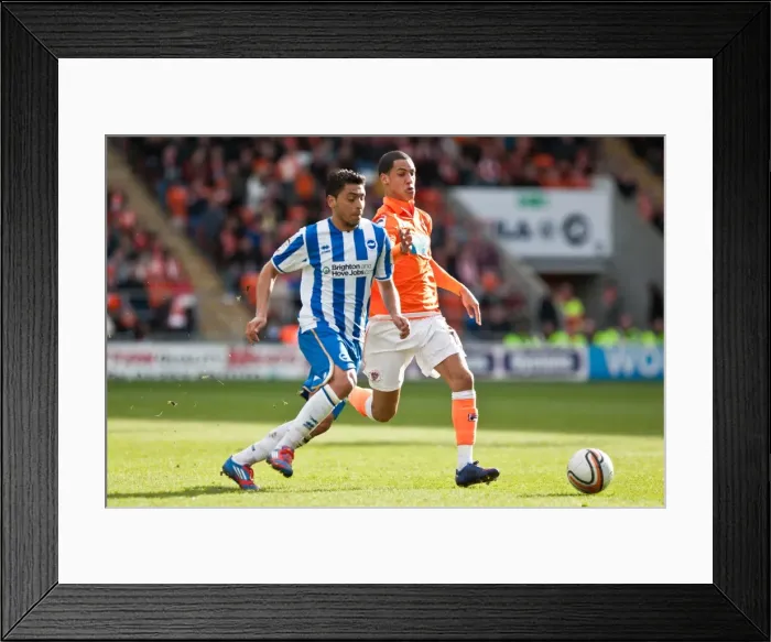 Framed Print : Brighton & Hove Albion Away at Blackpool (2011-12 Season): March 19, 2012 Framed Print : Brighton & Hove Albion Away at Blackpool (2011-12 Season): March 19, 2012